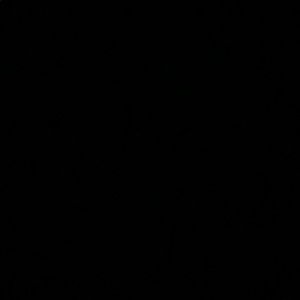 Meet your Posher, Mia